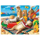 5D пляжная Праздничная картина с котом, полностью алмазная живопись, наборы для вышивки крестиком, искусство, высокое качество, животные, 3D Рисунок алмазами, декоративная краска ingFH633