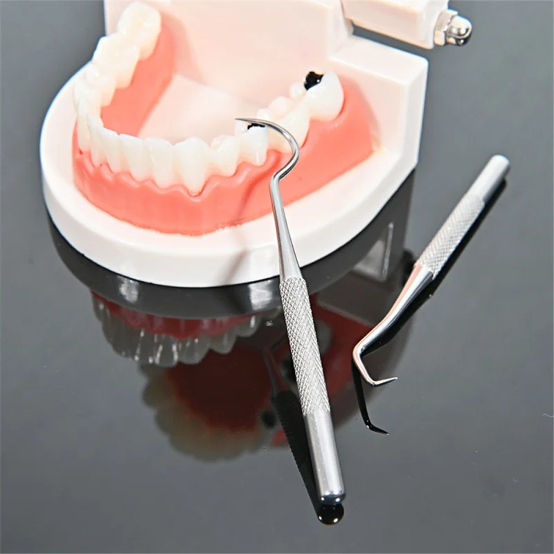 

Toothpick Suit Portable Stainless Steel Metal Toothpick Waterproof Reusable Outdoor Travel Camping EDC Accessories Popular