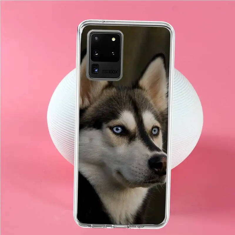 Чехол для телефона Husky dog Samsung S6 S7 edge S8 Plus S9 S10 plus E(lite) | Мобильные телефоны и