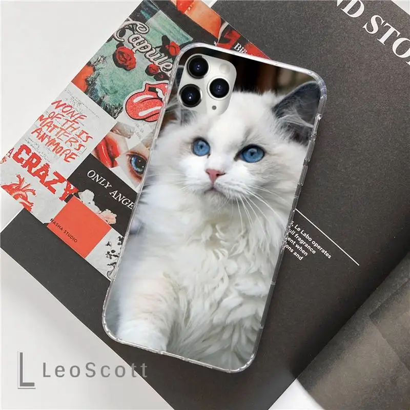 

eye funny lovely ragdoll cat Phone Cases For iphone 12 5 5s 5c se 6 6s 7 8 plus x xs xr 11 pro max