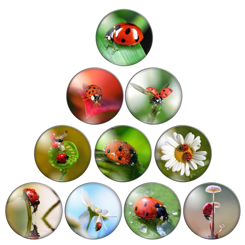 Новинка Божья коровка в виде насекомых обратно природу 10 мм/12 мм/18 мм/20 мм/25 мм