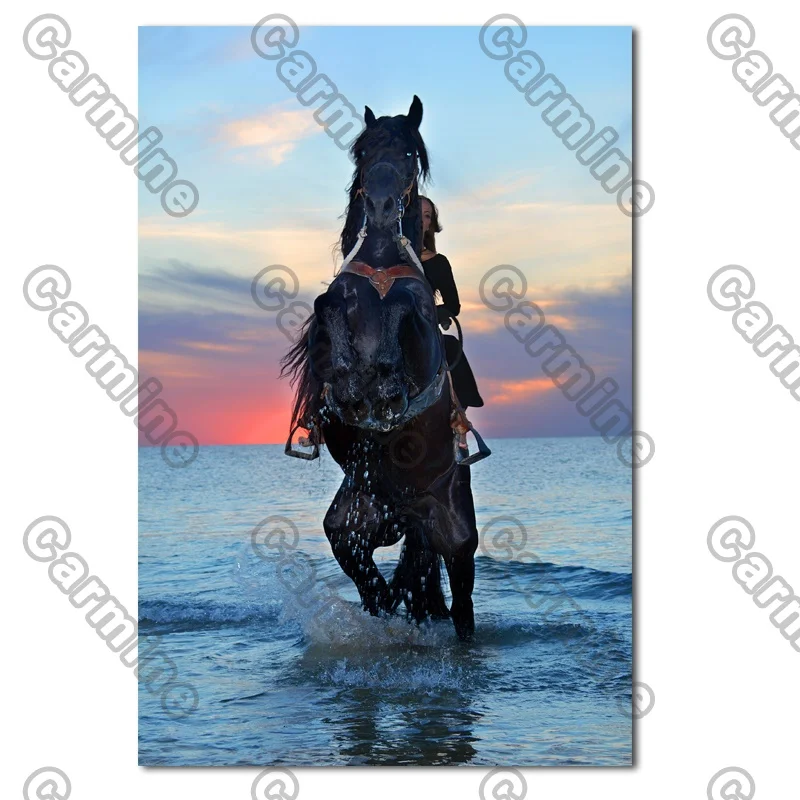 

Poster Black War Horse In Water Animal Canvas Painting Wall Art Nature Home Decoration for Living Room and Bedroom Frameless
