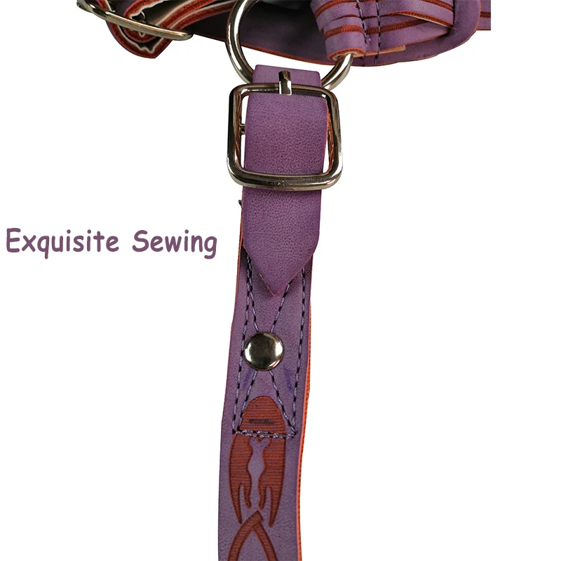 

Adjustable Horse Bridle Protective Head Collar Training Match Durable Leather Reins Detachable Practical Horse Riding Equipment