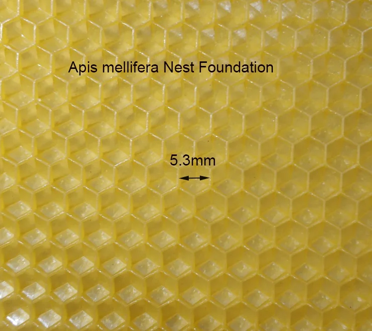 Apis mellife 30 шт. пчелиный воск улей основа для пчеловода высокое качество улей оборудование мед гребень основа Пчеловодство лист