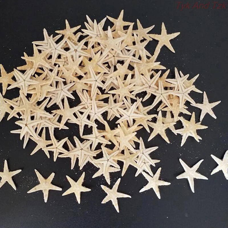 

100pcs Sea Shells Size:0.5-3cm Mini Starfish Craft Decoration Natural Sea Stars DIY Beach Cottage Wedding Decor Crafts