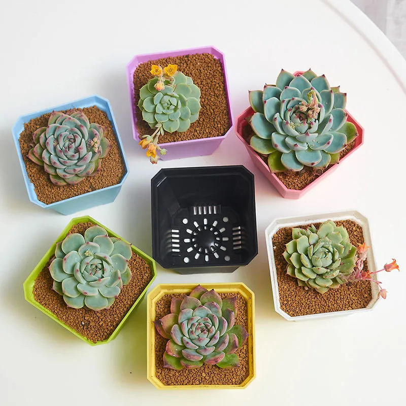 1 шт. пластиковый мини цветочный горшок для дома офиса|Цветочные горшки и кадки| |