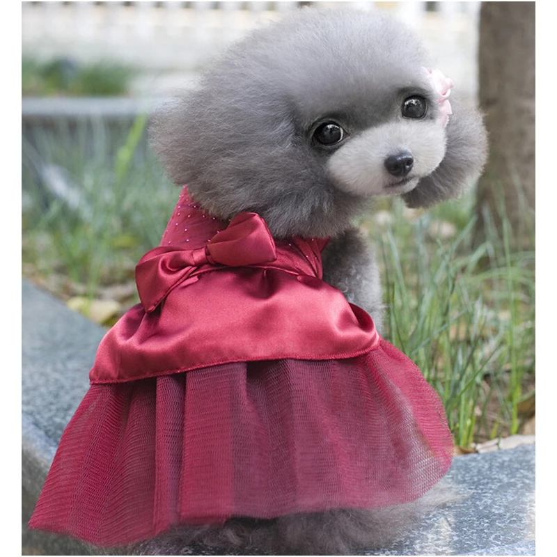 Новинка платье пачка для собаки кружевное милая Одежда кошек и принцесс одежда