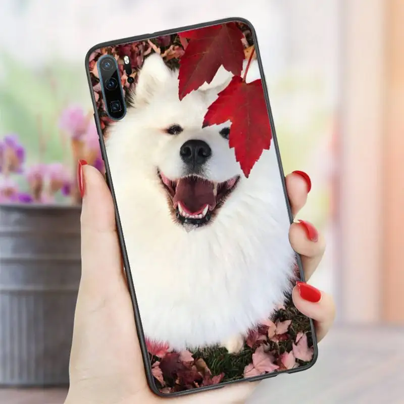 

lovely Samoyed dog Hard Phone Case For Huawei honor Mate P 10 20 30 40 i 9 8 pro x Lite smart 2019 nova 5t