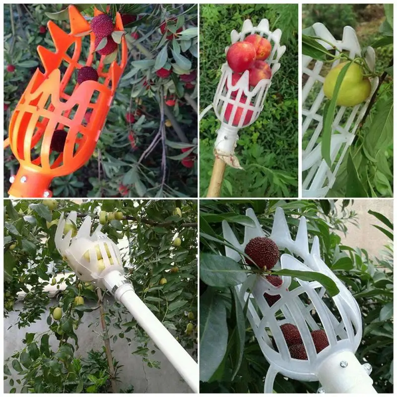 

High-Altitude Fruit Picker For Berries Picking Machine No Need Ladder Wheat Field Fruits Picking Tools For Bayberry Harvester