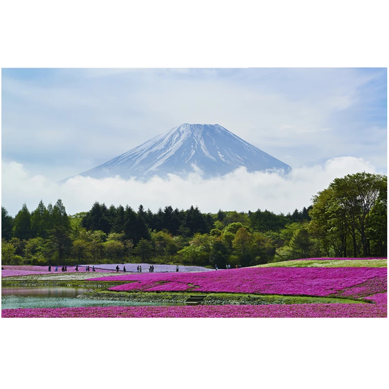

Colorful print Wall Tapestry Mount Fuji, Japan M12