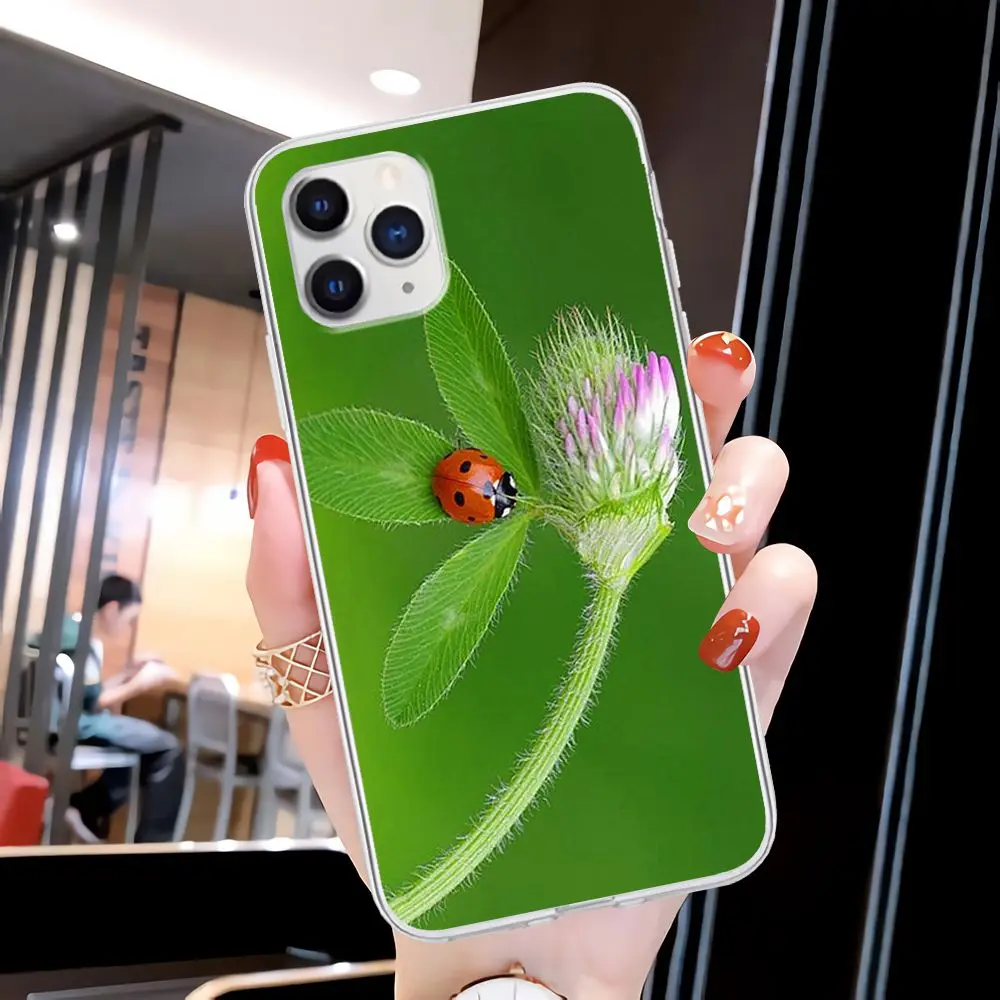 

Landscape Winter Light Snow Print Transparent Phone For Xiaomi Redmi K30s Ultra Note 8 9 Pro Max 9s 10T Pro 10 Lite Clear Case