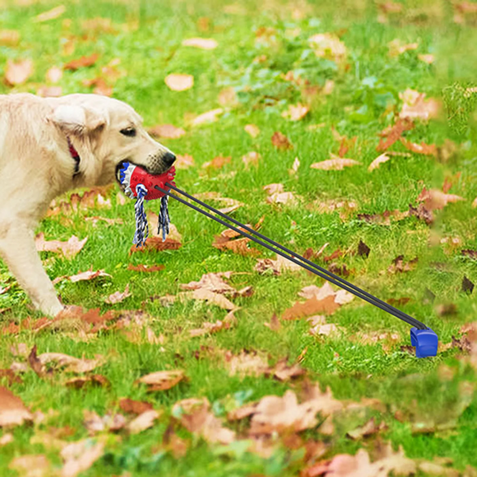 

Dog Molar Teeth Toy chew Sounder ball with suction cup Elastic Pull line Bite-resistant pet Feeder outdoor garden chew toy ball