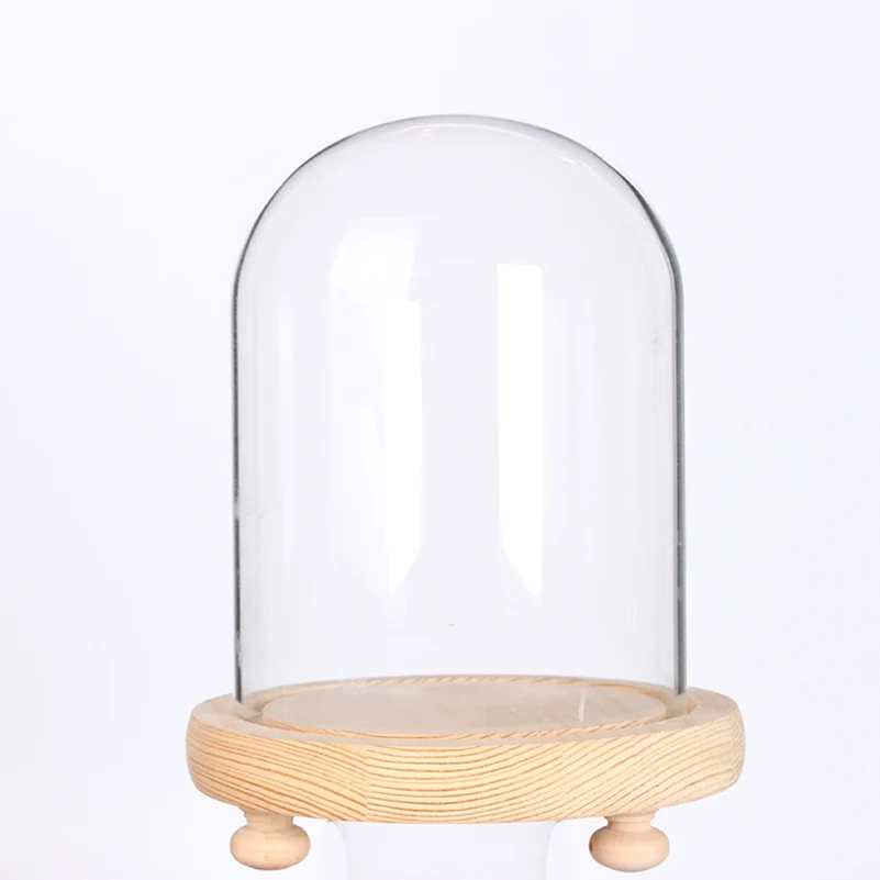 Стеклянный купол витрина для консервированных цветов баночка колокольчиков с