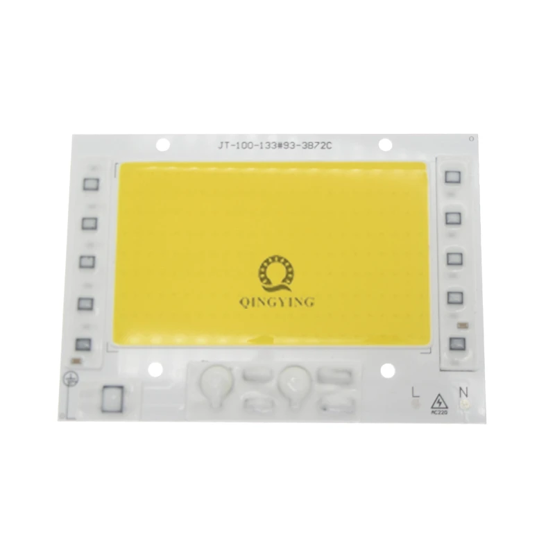 LED Lamp Chips 220V 100W COB Bulb Smart IC Led Light Input AC220V 100 Watt White 6500K/ Warm 3000K For Outdoor FloodLight