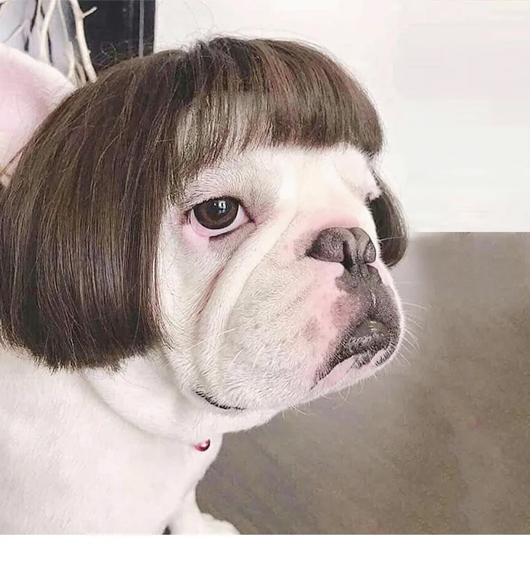 Pet парик Косплэй реквизит с рисунком собачки и котика перекрещивающимися