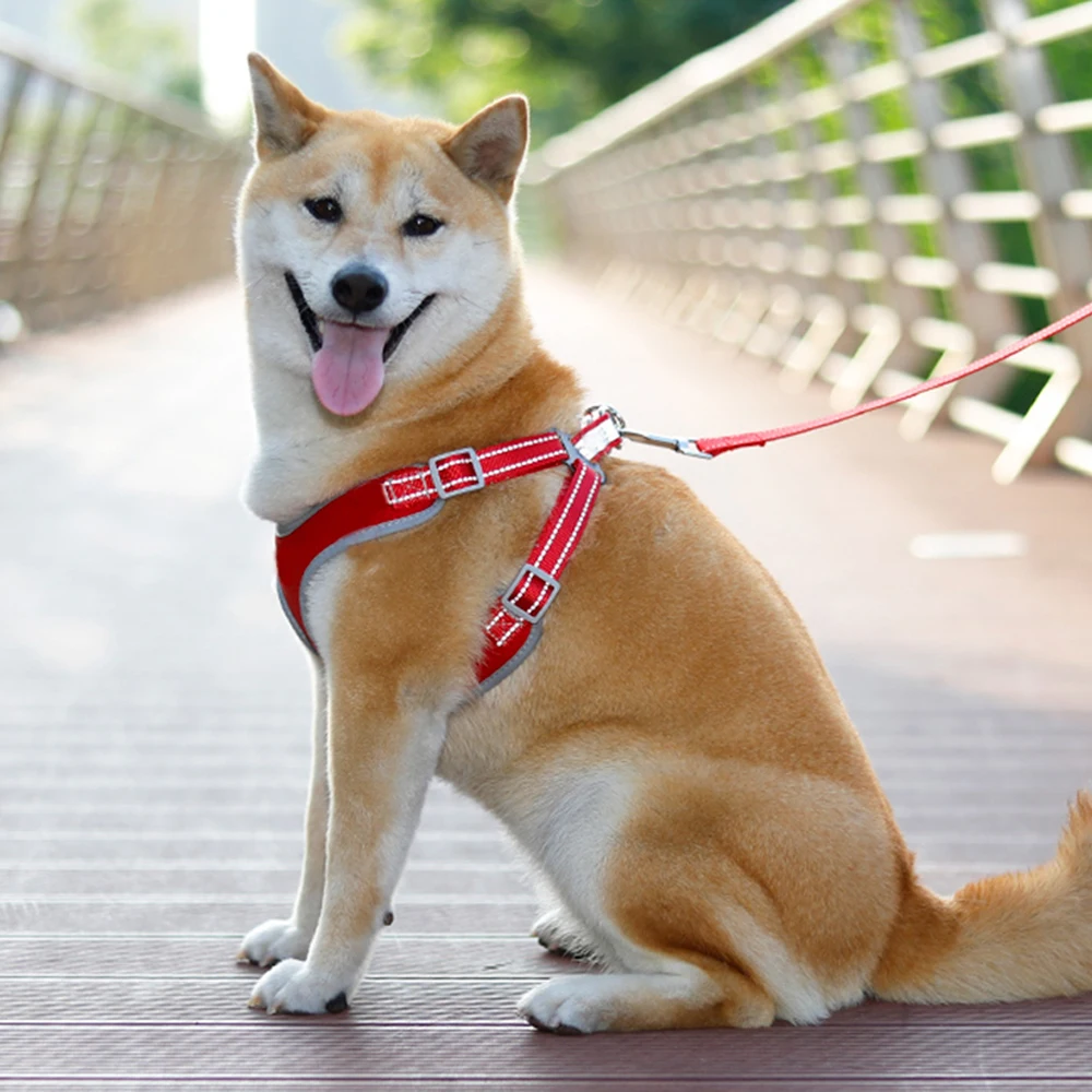 Воздухопроницаемая летняя шлейка для собак с поводком шлейки маленьких и
