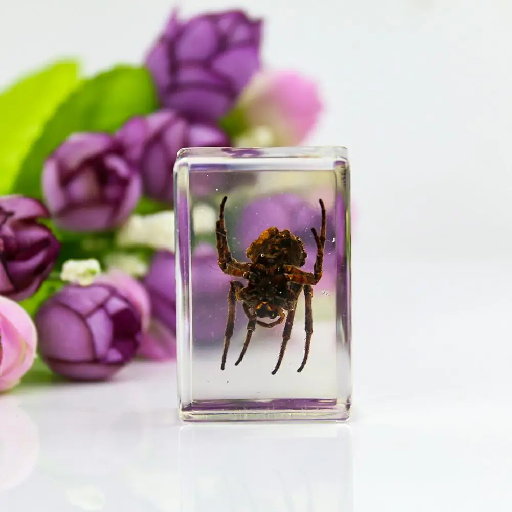 Clear Scorpion Crystal Amber Epoxy Table Collect Craft Insect Teach Specimen Paperweight Home Desk Decor Halloween Funny Spoof |