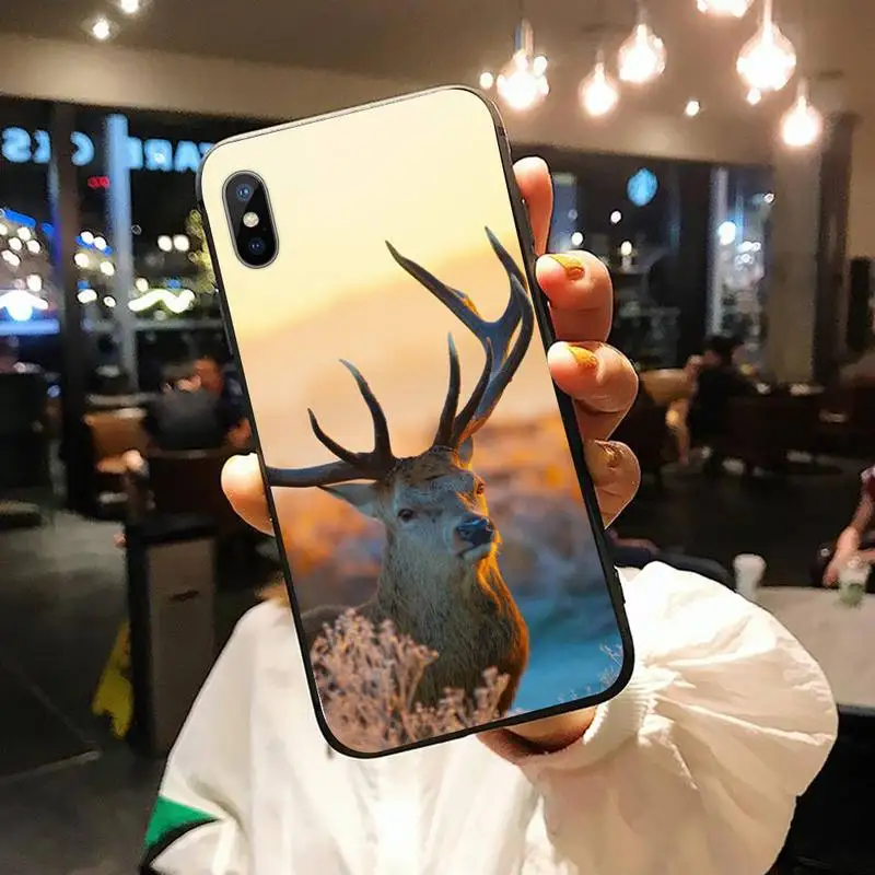 

Deer Hunting fashion pattern high quality Phone Case funda for iPhone 11 12 pro XS MAX 8 7 6 6S Plus X 5S SE 2020 XR
