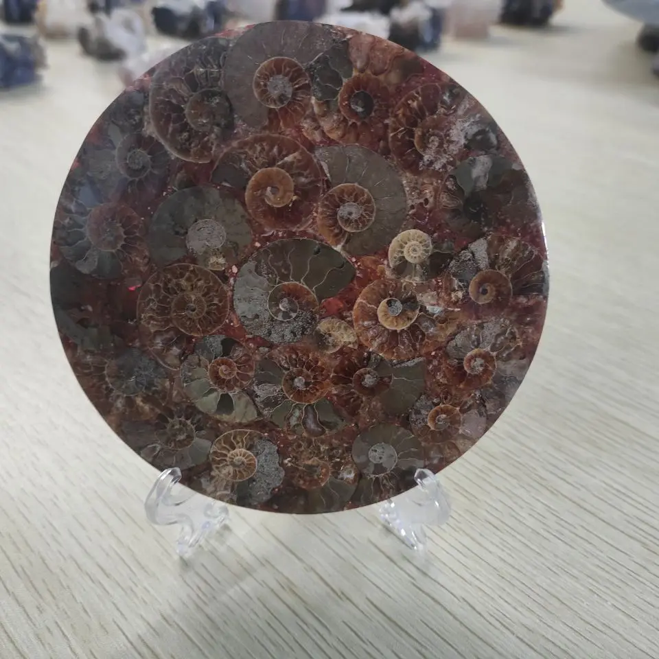 11-12cm Natural Ammonite Fossil Slice Plate Crystal Ocean Conch Stone Madagascar Mineral Healing Specimen | Дом и сад