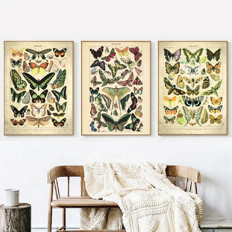 

Modern Abstract Wall Art Vintage Butterfly Biology Paintings Nordic Canvas Posters Prints for Living Room Bedroom Decoration