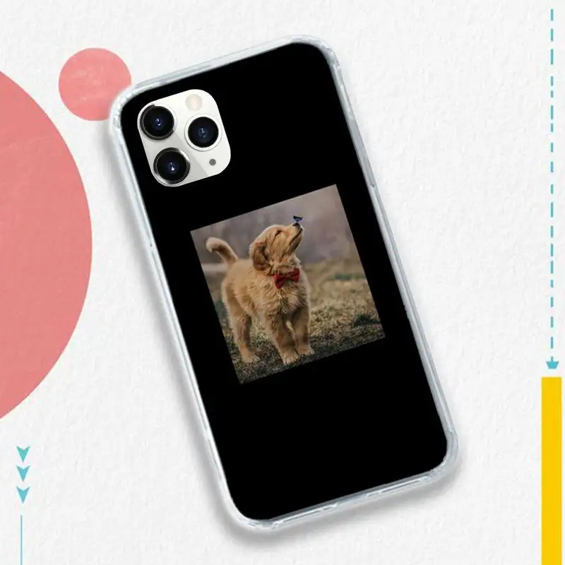 

Cute dog cat bird funny animal Phone Case for iPhone 11 12 pro XS MAX 8 7 6 6S Plus X 5S SE 2020 XR