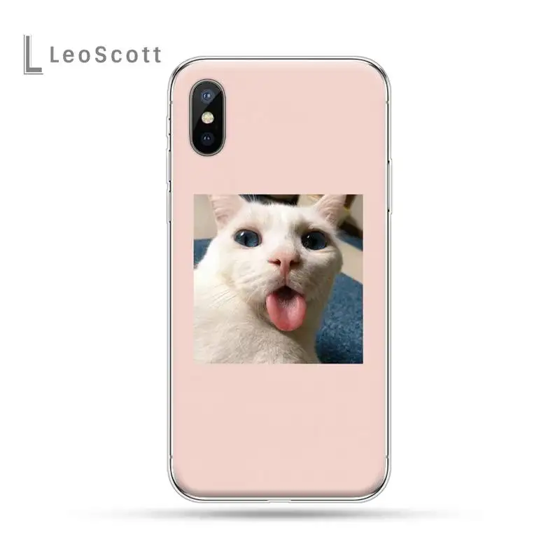 

Super Lovely cute cats photos funda coque cover Phone Case for iPhone 11 12 pro XS MAX 8 7 6 6S Plus X 5S SE 2020 XR
