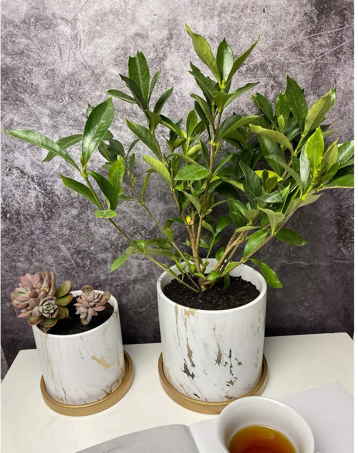 

Hot (2 pack) Ceramic flowerpot with drain hole and tray, marble pattern, ceramic flowerpot with drain hole (not contain plants)