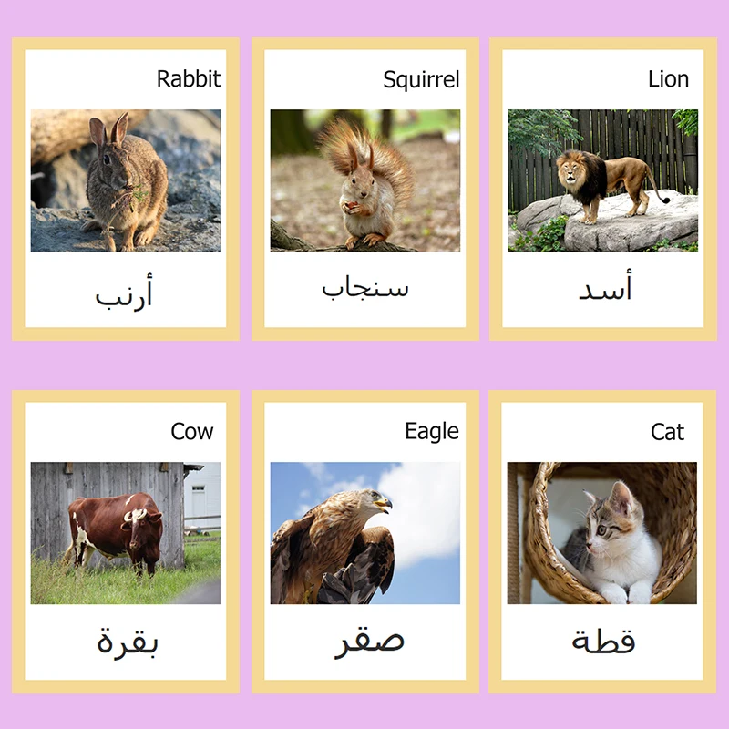 24 шт. Детские карты памяти с изображением животных на английском/арабском языках