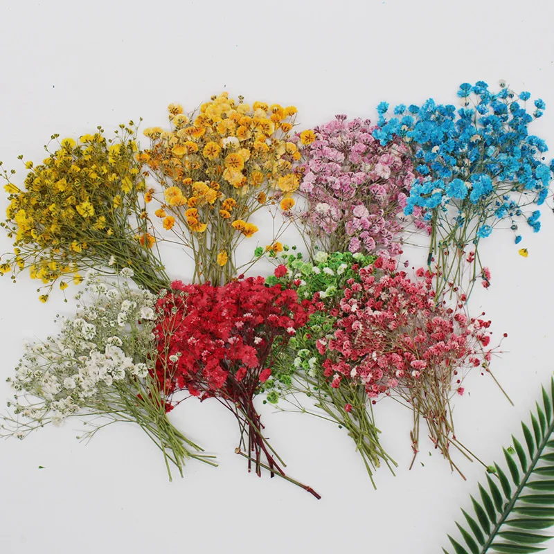 Натуральные сушеные цветы тиснение Botany образец Diy клей ручной оболочки Ароматерапия Свеча фоторамка активность материал наука