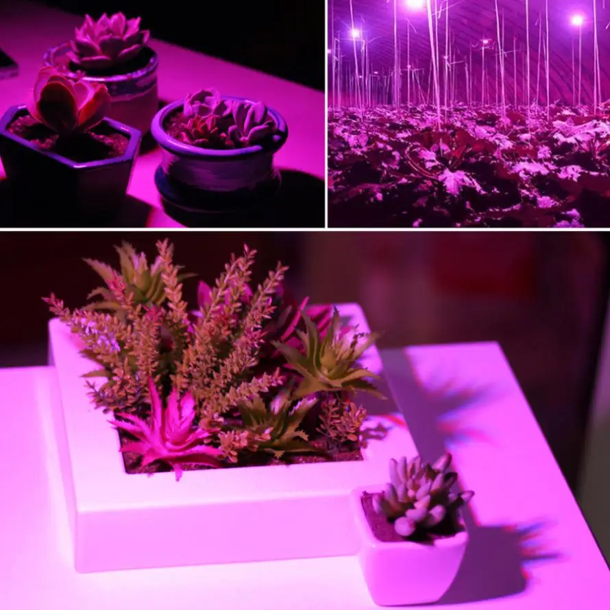 

E27 80W 120 LEDs Plant Fill Grow Light Full Spectrum Band Red 78 + Blue 24 + Warm 6 + Infrared 6 + UV 6 for Grow Tent / Bonsai