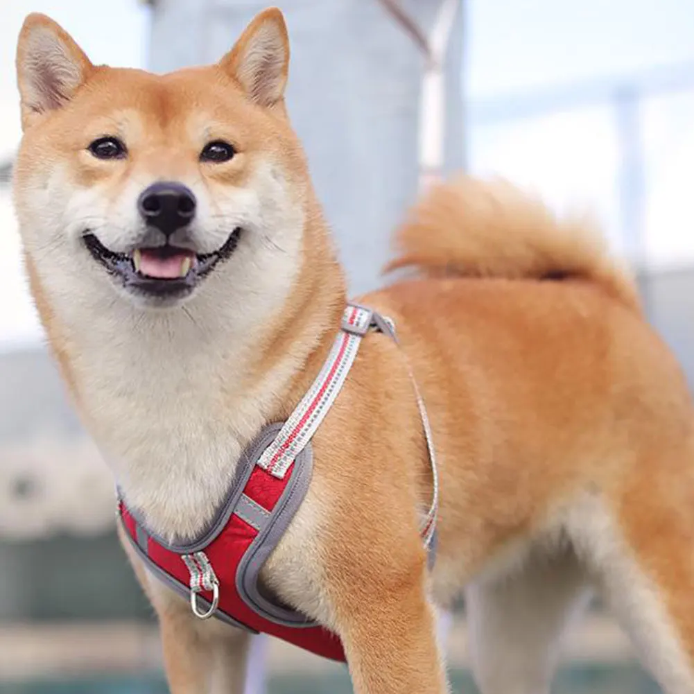 

Reflective Dog Cat Harness Adjustable Pet Bulldog Harness Puppy Small Medium Dogs Cats Harness For Small Medium Puppy