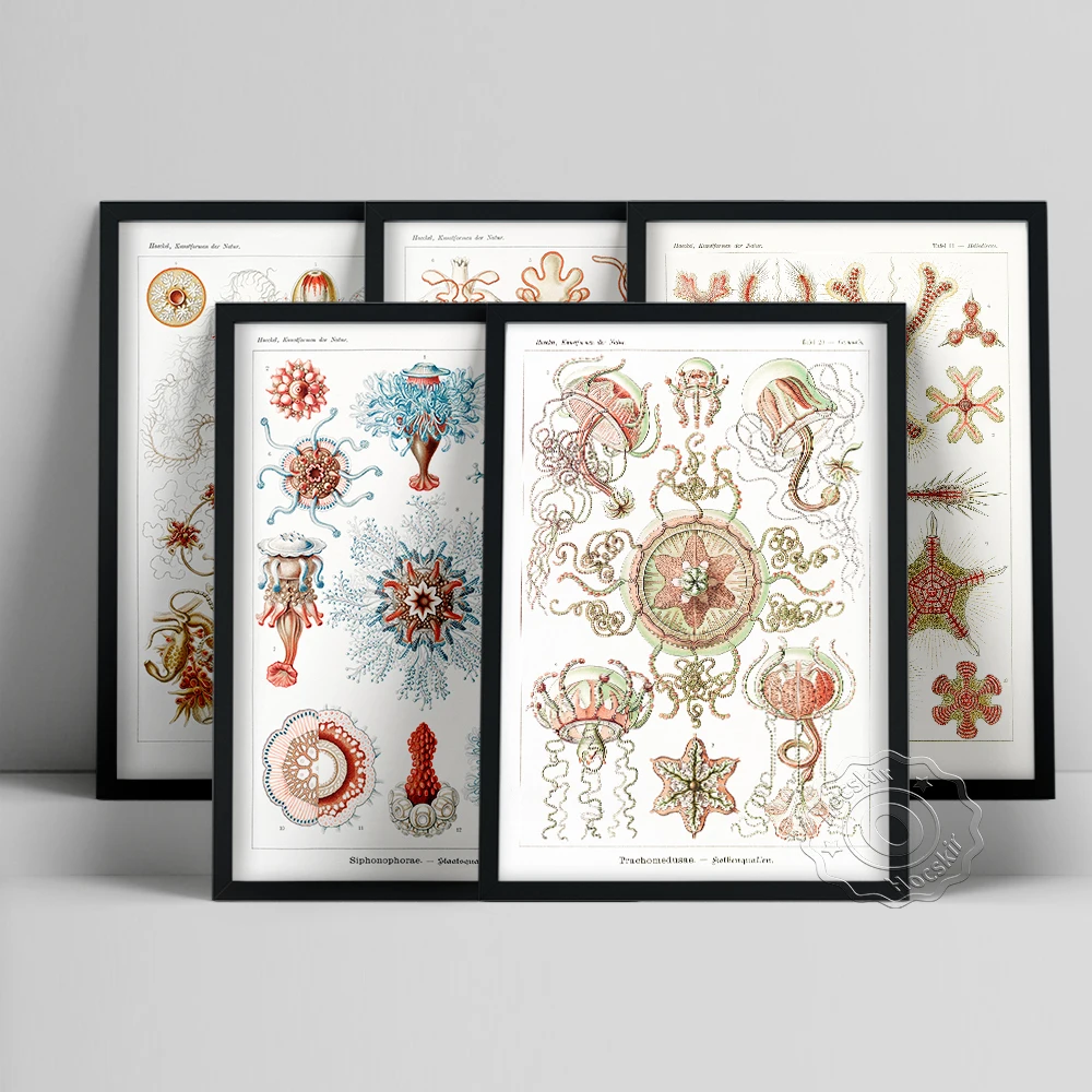 

Art Forms In Nature Poster, Colorful Marine Animals Oil Painting, Vintage Art Creature Print, Marine Organism Illustration Decor