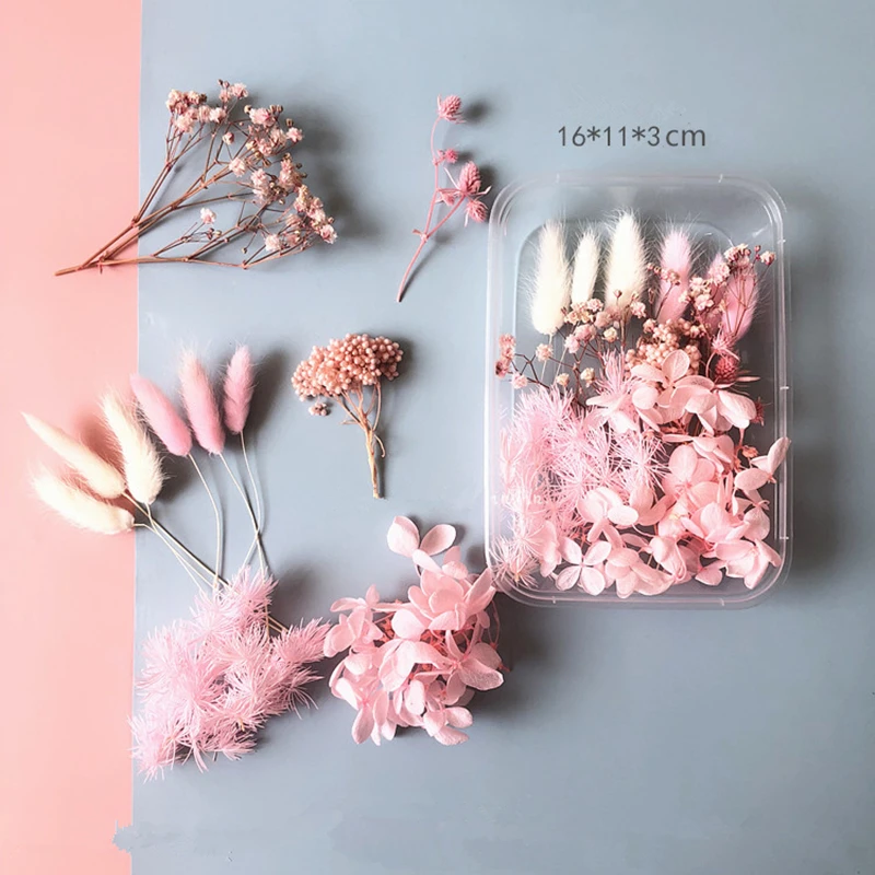 

1 Box Real Dried Flower Dry Plants for Aromatherapy Candle Epoxy Resin Pendant Necklace Jewelry Making Craft DIY Accessories