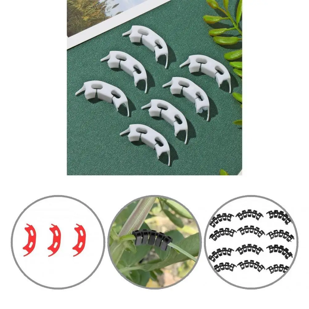 

Anti-wear Portable Universal Adjustable Plant Support Clip for Yard