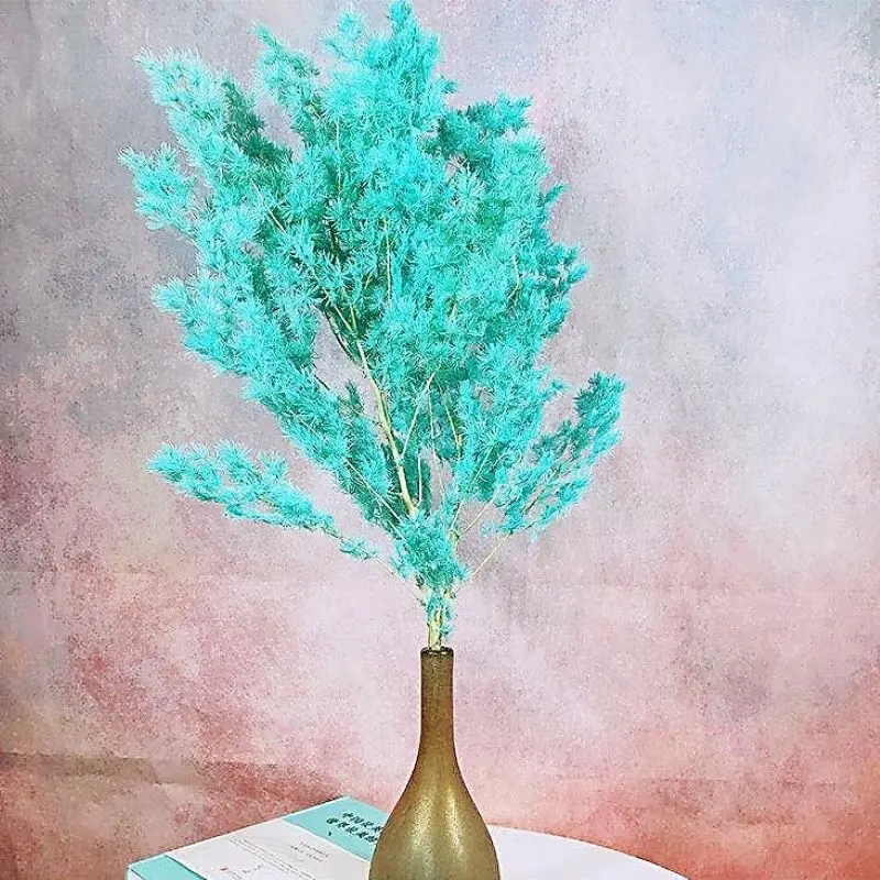 

65g 50CM Preserved Asparagus Myriocladus Leaf Penglai Pine Bouquet Bedroom Decor Handmade DIY Crafts Materials Photo Props