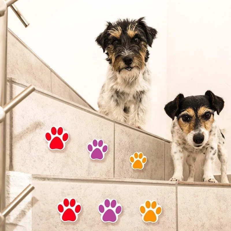 

Pet footprint shape sticker 500pcs/roll DIY Craft Lables cartoon stickers for teacher students encouragement stationery sticker