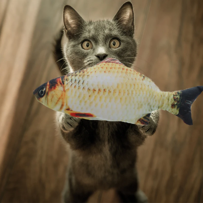 4 формы кошачья мята электрическая ваггирующая рыба кошка игрушки искусственная