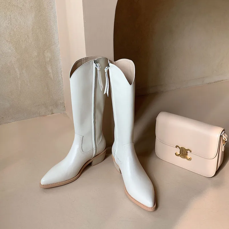 

ANNYMOLI Real Leather Mid Heel Knee High Boots Western Boots Women Shoes Pointed Toe Thick Heels Zipper Long Boots Autumn Beige