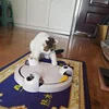Изображение товара 5