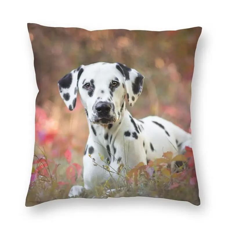 Наволочки для диванных подушек с изображением милой далматинской собаки рисунок