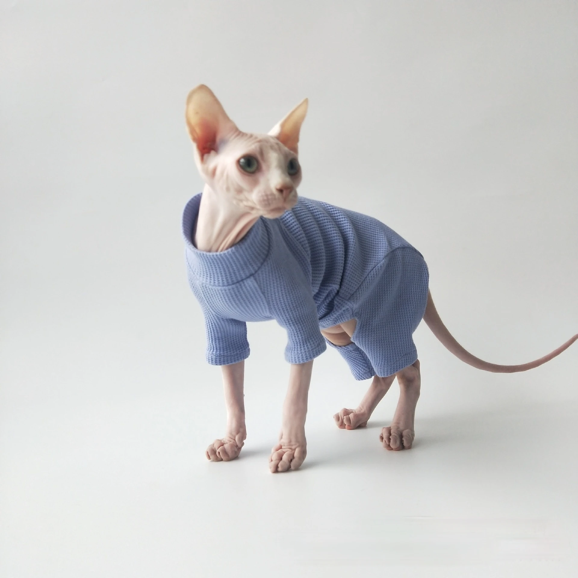 

Hairless Cat Clothes Knitwear Base Shirt Air Conditioning Clothes Devon Rex Clothes Sphinx Clothes Cat Clothes Super Elastic