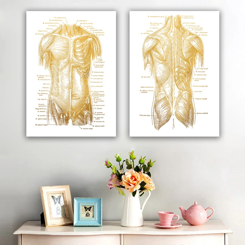 

Human Anatomy Artwork Medical Wall Picture Musculoskeletal Gold Foil Poster Nordic Canvas Printing Modern Hospital Decoration