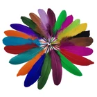 10100 штук Жесткая полюс гусиных перьев DIY Перья для ювелирные изделия делая Свадебные украшения шляпа шлейф аксессуары ремесла модное Новогоднее пуховое 13-20 см