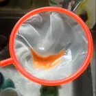 1 комплект соленой воды инкубатор для креветок DIY яйцо инкубационное инструменты аквариум инкубировать Системы Кепки клапан Совок Чистая шланг комплект Профессиональные простой