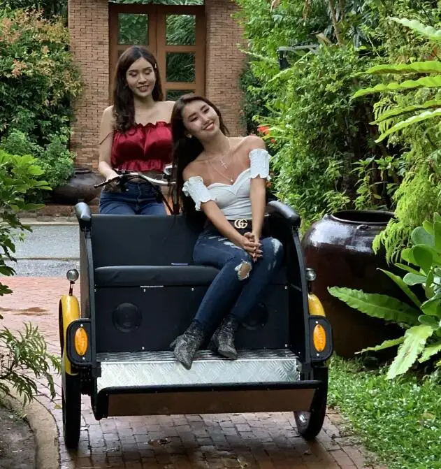 Новое поступление Электрический трехколесный велосипед для взрослых рикша