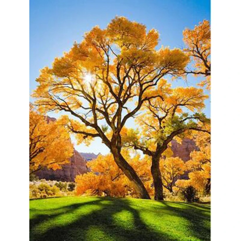 

Diamond Painting 5D DIY Square/Round Diamond Landscape Painting Park Maple Beauty Picture Cross Stitch Ornament Gift Art TX642