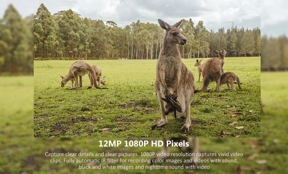 Goujxcy PR200 Trail camera 49 шт. 940nm инфракрасный светодиодный камера для охоты 12MP Водонепроницаемая видеокамера для дикой природы Ночная фото ловушка для разведчика