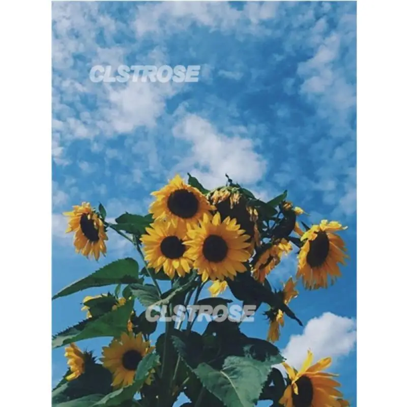 

Diy Diamond Painting Flowers Sunflowers Under The Sun Flower Sea Running Stickers Rust Diamonds Home Decoration Wall Square