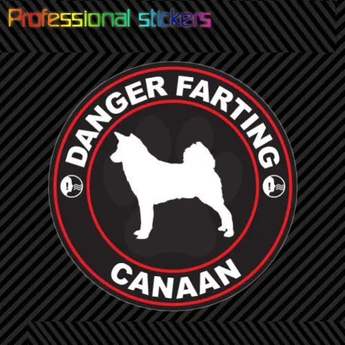 

Danger Farting Canaan Sticker Decal Self Adhesive Vinyl Dog Canine Pet for Car, Laptops, Motorcycles, Office Supplies