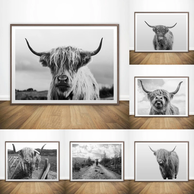 

Nordic Black &White Highland Cow Canvas Posters Scottish Cattle Wall Art Painting Print Picture for Living Room Decor Cuadros
